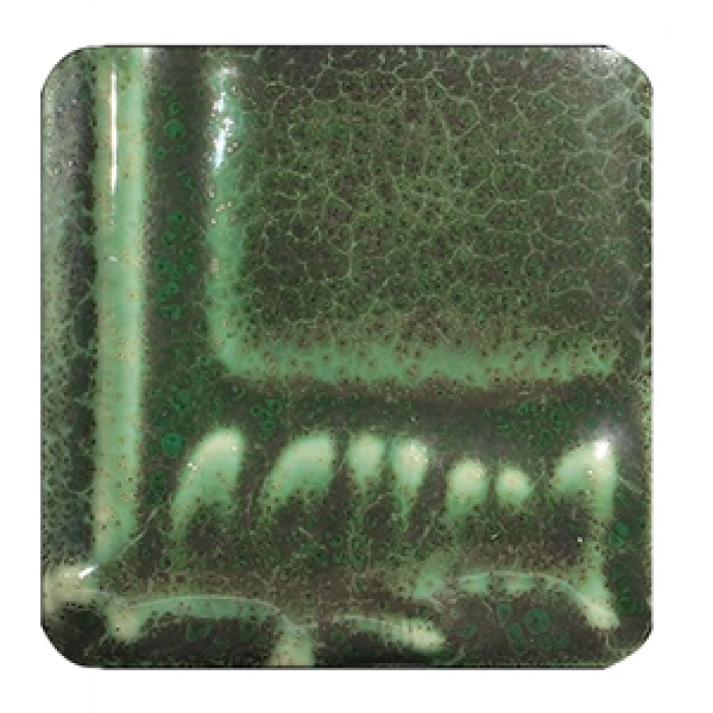 Monstera Cone 5 Rainforest Glaze